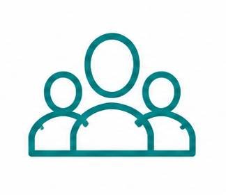 Experienced Professionals