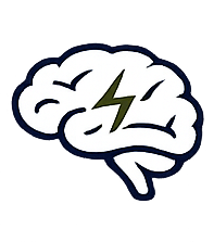 Brain